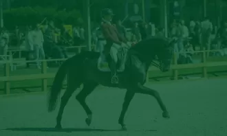 Preparação de cavalos e cavaleiros para competição
