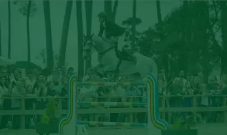 Intervenções assistidas por equinos